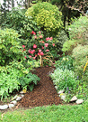 Wattle Side Path
