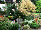 Wet Front Garden
