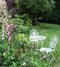 White Foxgloves Furniture
