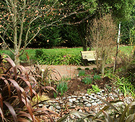 Winter Beech Courtyard