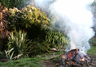 Winter Bonfire Smoke