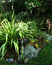 Winter Flax Tagaste