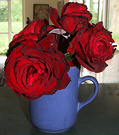 Cup Roses Small