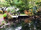 Deck Autumn Pond Garden