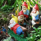 Gnomes Reading Sitting