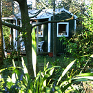 Green Shed Garden