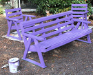 Purple Wooden Seats