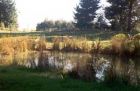 Paddock Pond