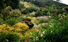 Rosemoor Walled Garden