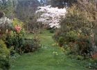 Spring Blossom Garden Path