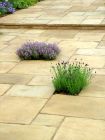 Lavender Paving