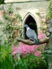 Pigeon On Statue