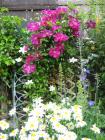 may  jardin  