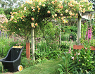 Crepuscule Pergola Cart