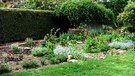 Flowery Vegetable Garden