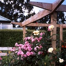 Garden Wooden Pergola