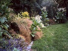 Mountain Grass Garden Planting