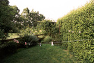 Washing Line Garden