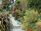 Dogpath Garden Water