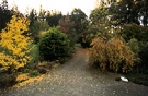 Autumn Driveway Garden