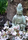 Blossom Buddha Statue