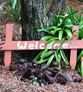 Welcome Sign Mulch