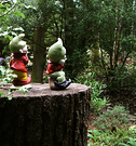 Gnome Lookout Stump