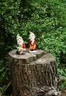 Two Gnomes Stump