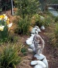 Daffodil Garden Path Cat