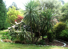 Side View Garden