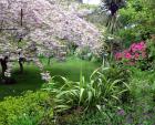 Blossom Tree Garden