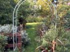 Two Cat Garden Arch