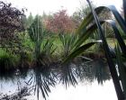 Flax Pond Reflection