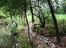 Pond Garden Path