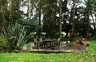 Winter Pond Table