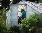 Head Gardener Glasshouse