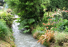 Willow Downstream Garden