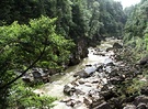 Charming Creek