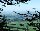 Plains View