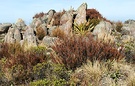 Rocks Mount Alford