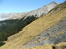 Tussock Mountain Path