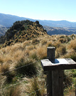 View Fence Tussock