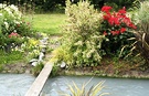 Robusta Rose Water Garden