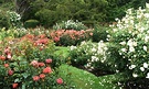 Roses Botanical Garden
