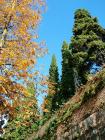 Autumn Garden Wall