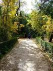 Autumn Promenade