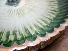 Scalloped Fountain