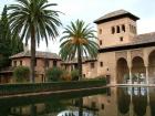 Tower Palms Water Garden