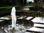 Garden Fountain Still Water