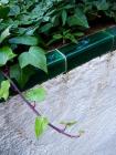 Ivy Leaf Green Tiles